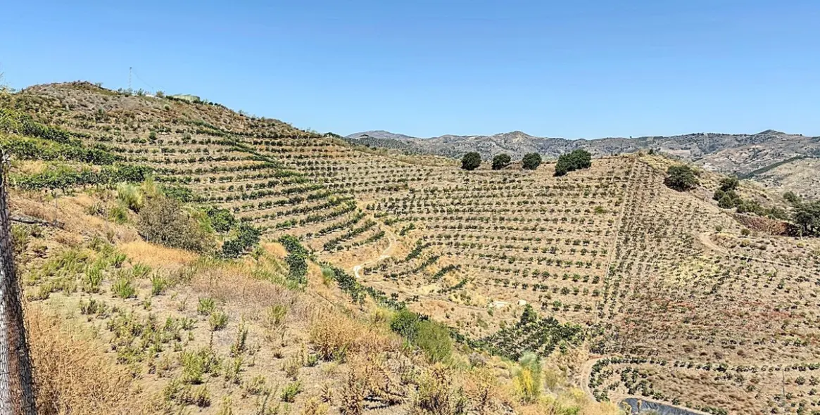 Продажа  жилого участка в Cajíz 28