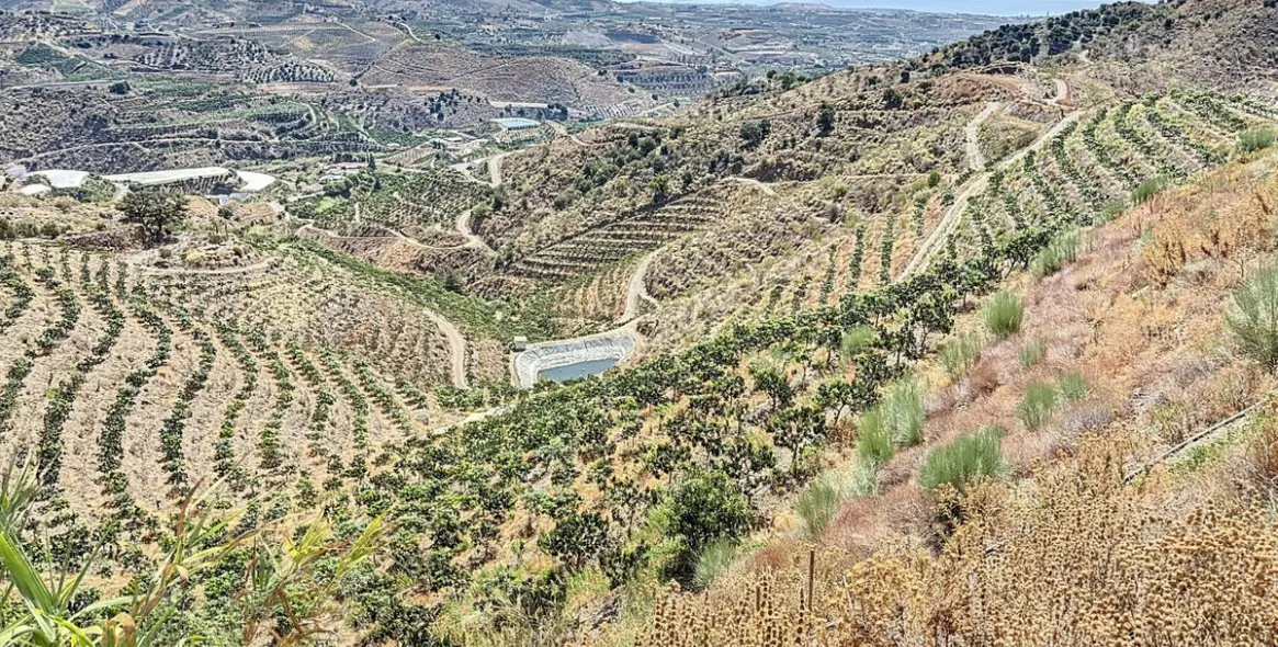 Продажа  жилого участка в Cajíz 29