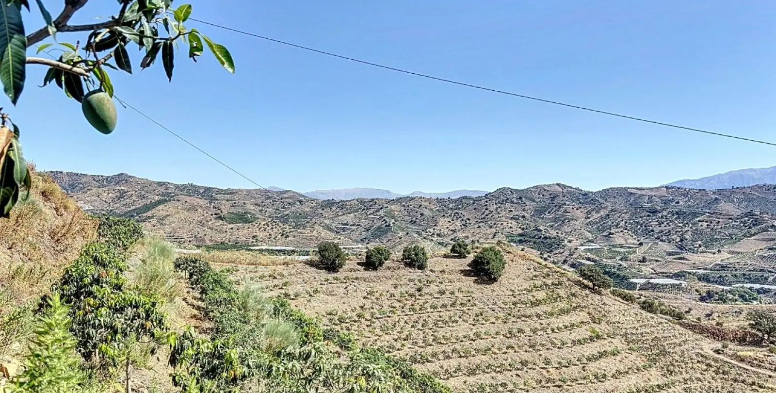 Sale of residential plot in Cajíz 15