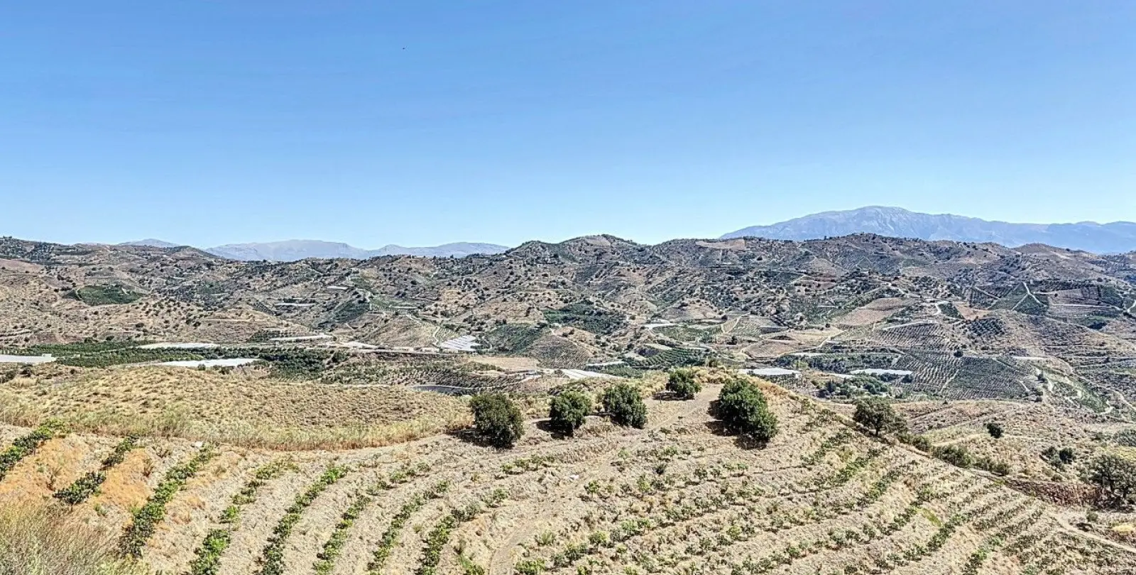 Sale of residential plot in Cajíz 17