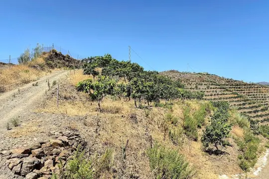 Image 18 thumb