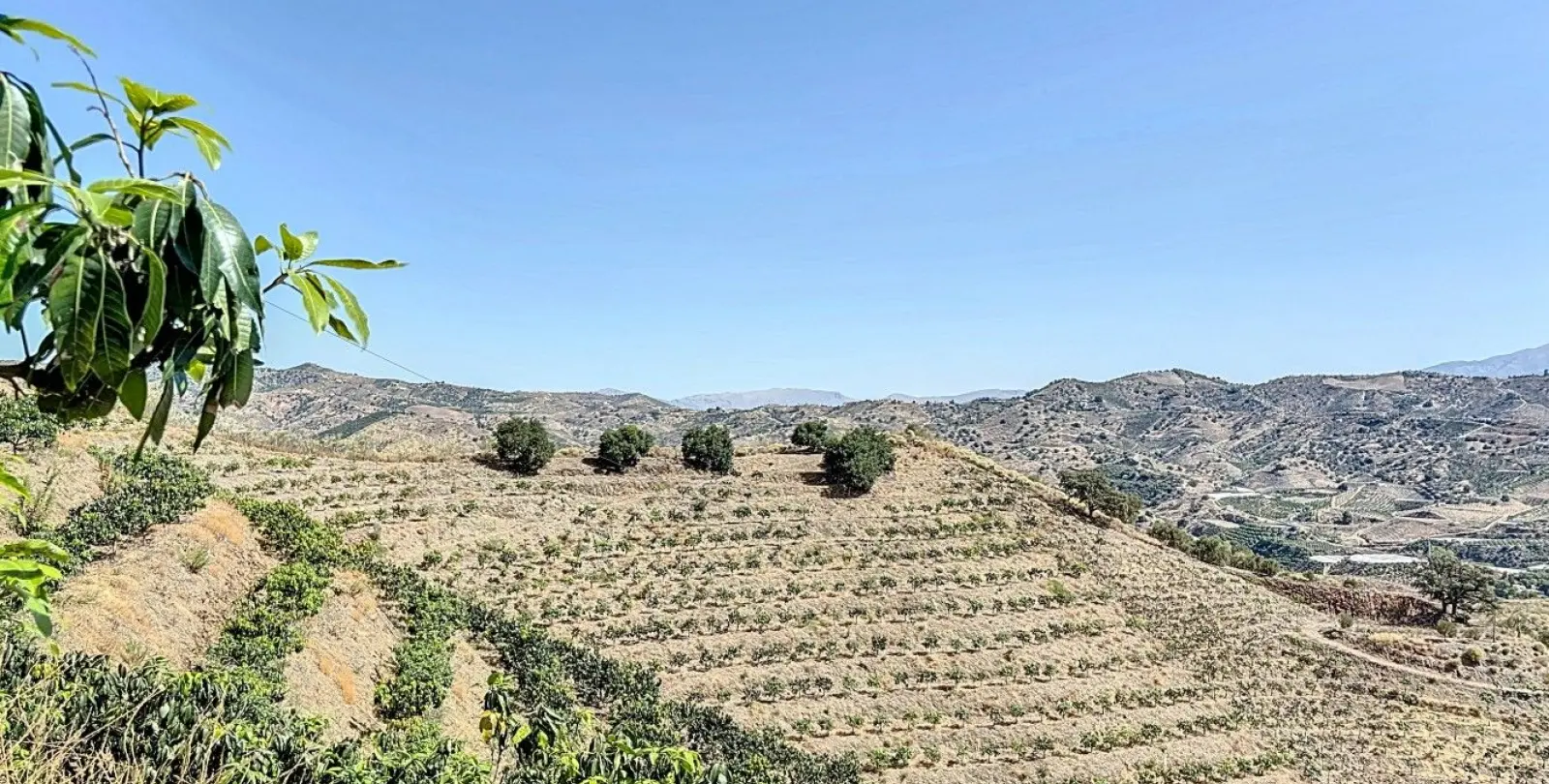 Sale of residential plot in Cajíz 24