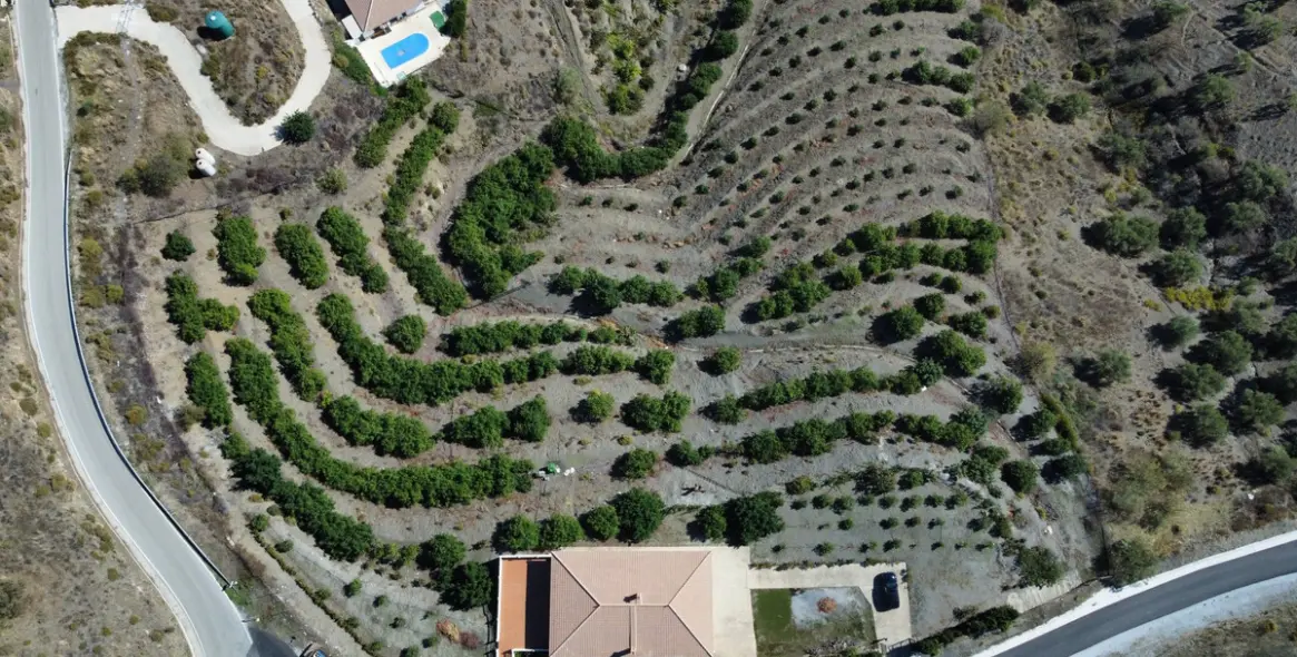 Sale of detached villa in Sedella 3