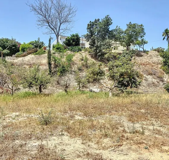 Sale of finca - cortijo in Torre del Mar