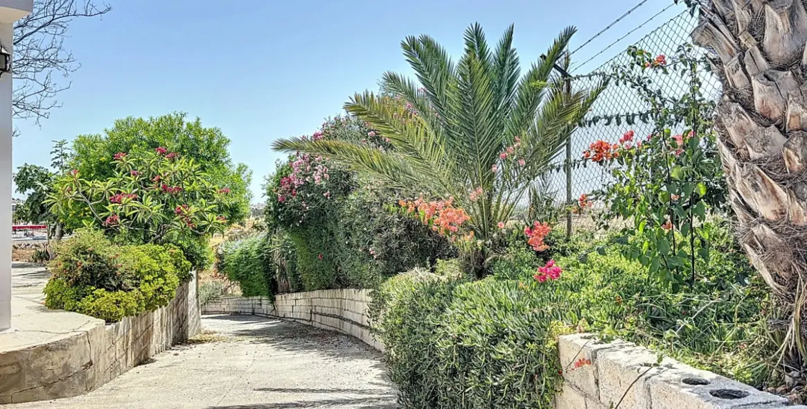 Sale of finca - cortijo in Torre del Mar 6