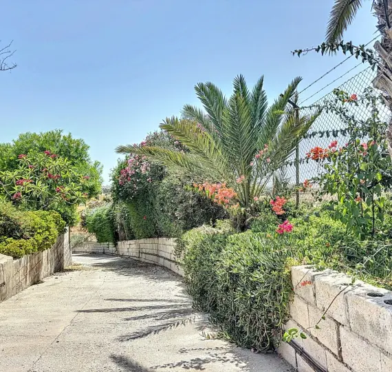 Sale of finca - cortijo in Torre del Mar