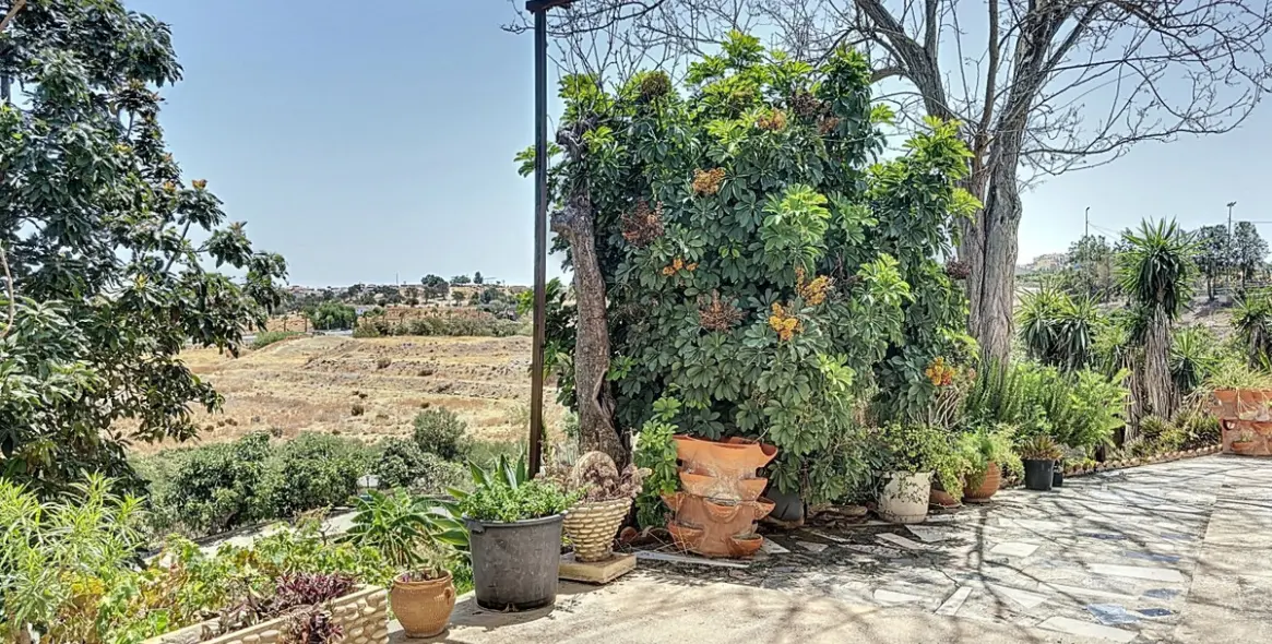 Sale of finca - cortijo in Torre del Mar 23