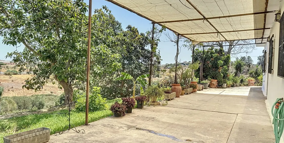 Sale of finca - cortijo in Torre del Mar 26