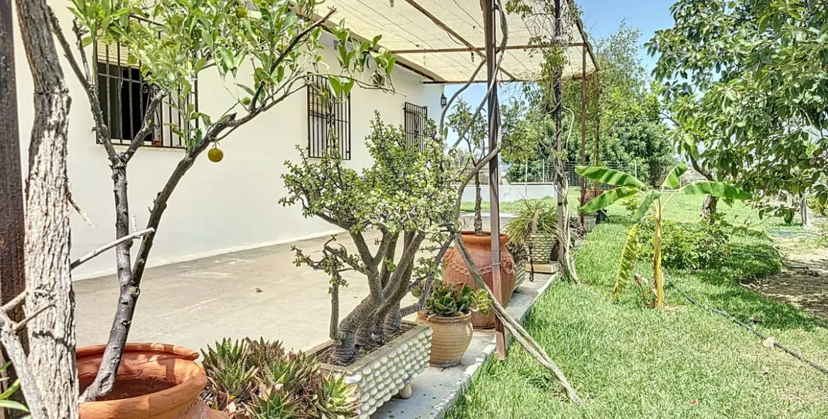 Sale of finca - cortijo in Torre del Mar 27