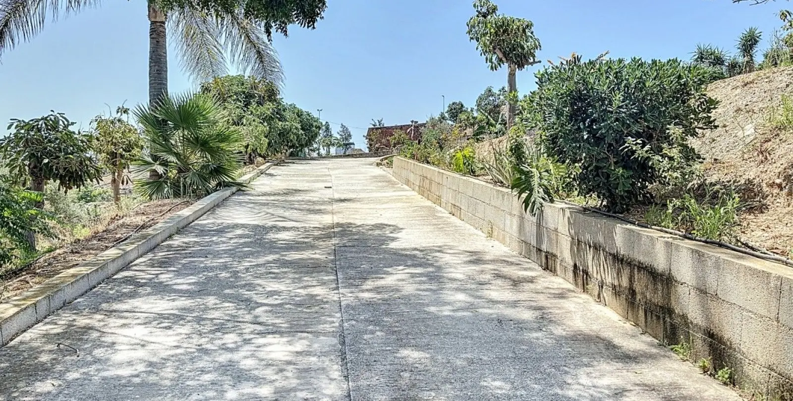Venta de finca - cortijo en Torre del Mar 3