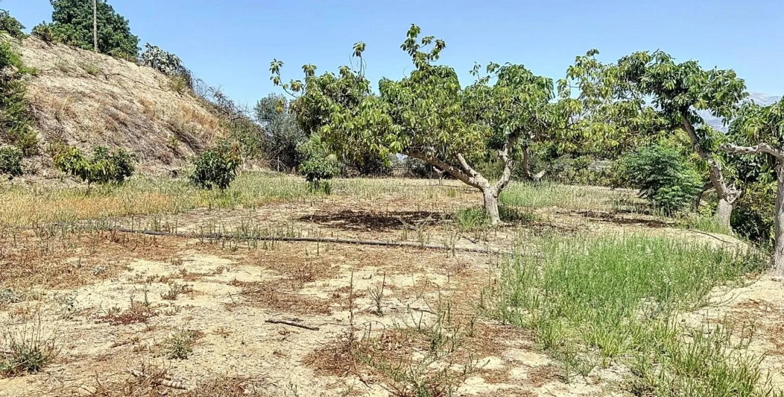 Venta de finca - cortijo en Torre del Mar 4
