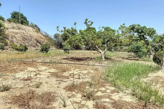 Image 4 thumb