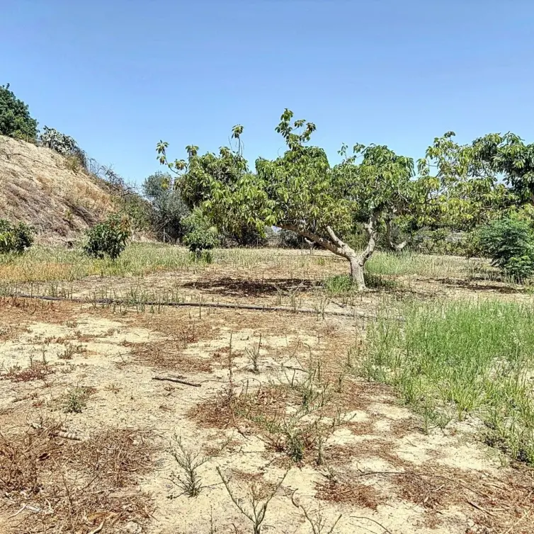 Продажа финки в Torre del Mar