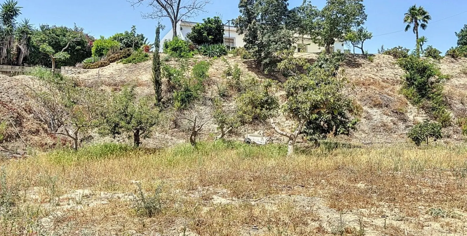 Venta de finca - cortijo en Torre del Mar 5