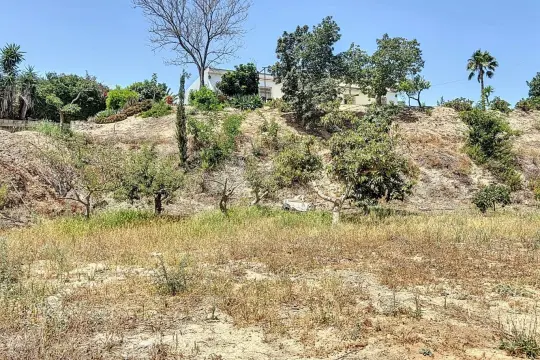 Image 5 thumb