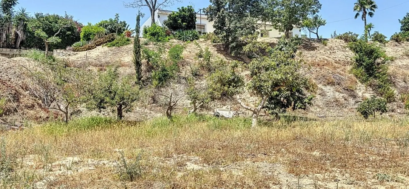 Продажа финки в Torre del Mar 4
