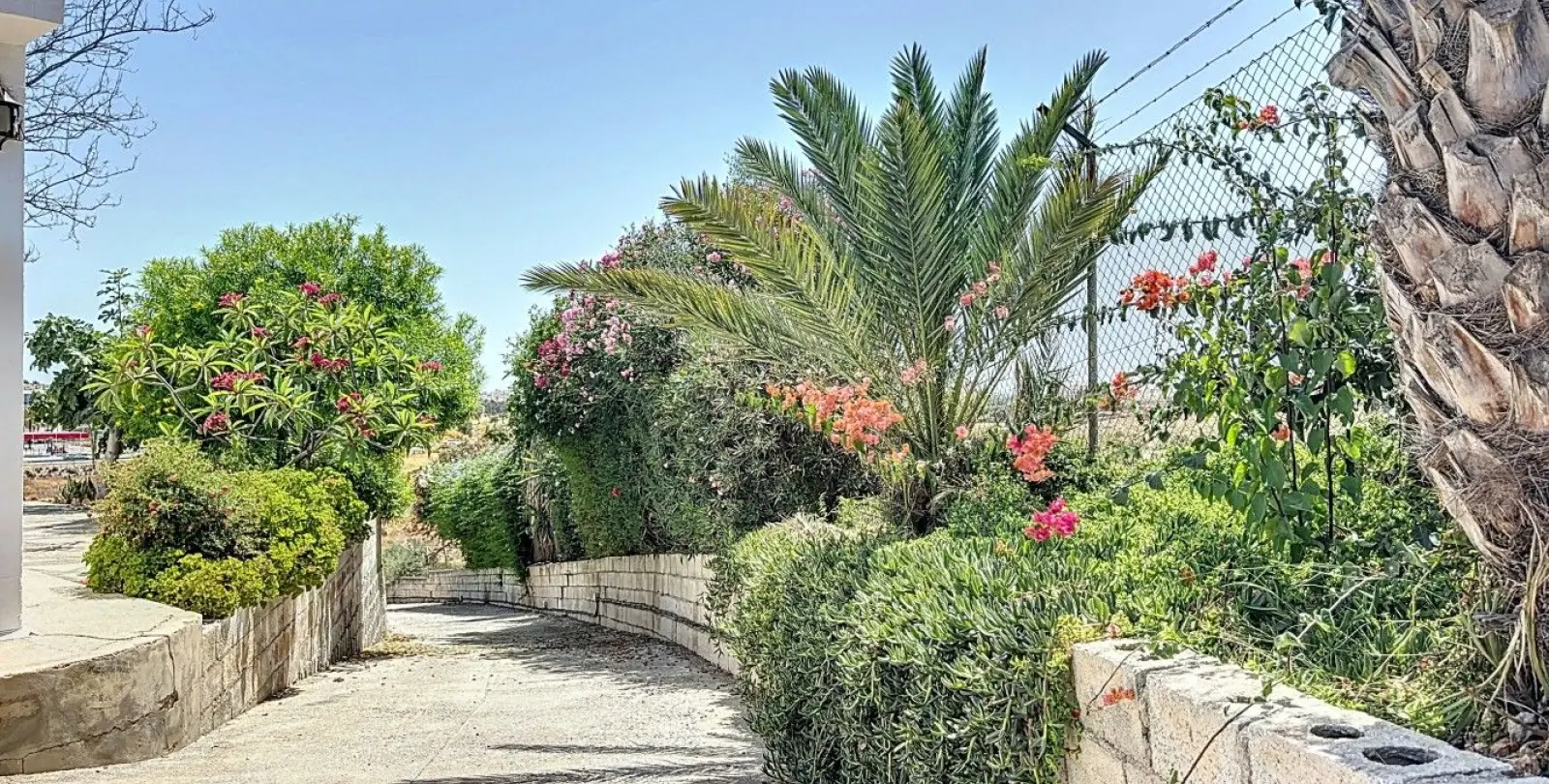 Venta de finca - cortijo en Torre del Mar 6