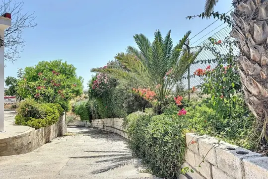 Image 6 thumb