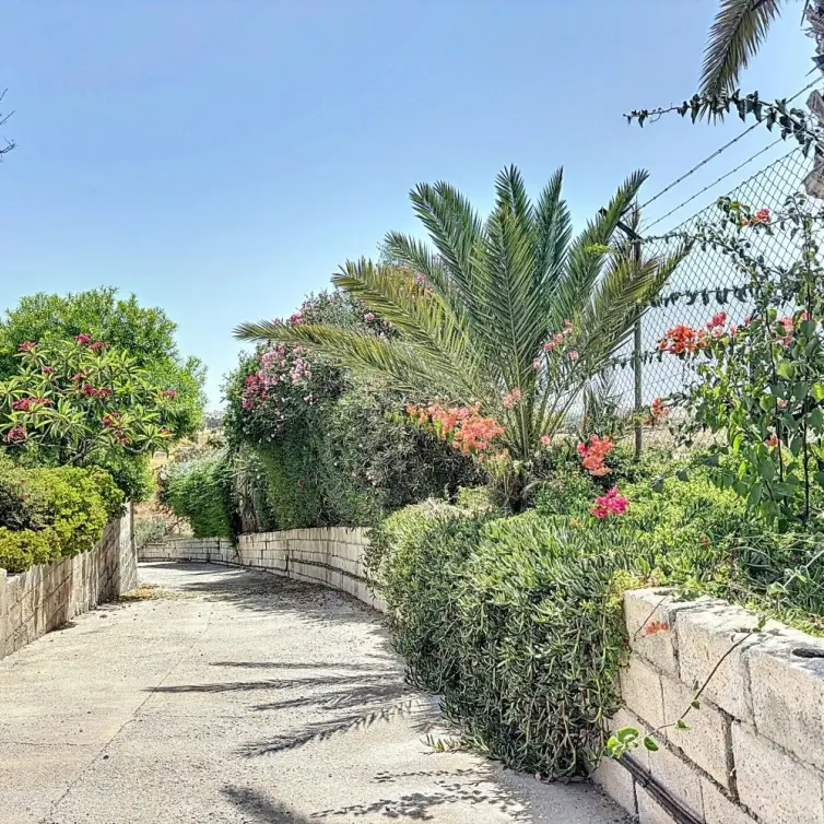 Продажа финки в Torre del Mar