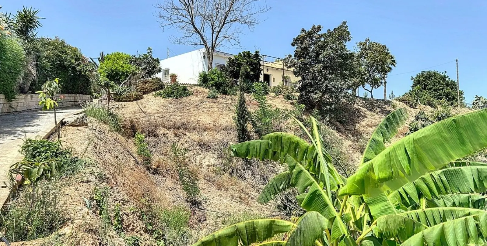 Venta de finca - cortijo en Torre del Mar 7