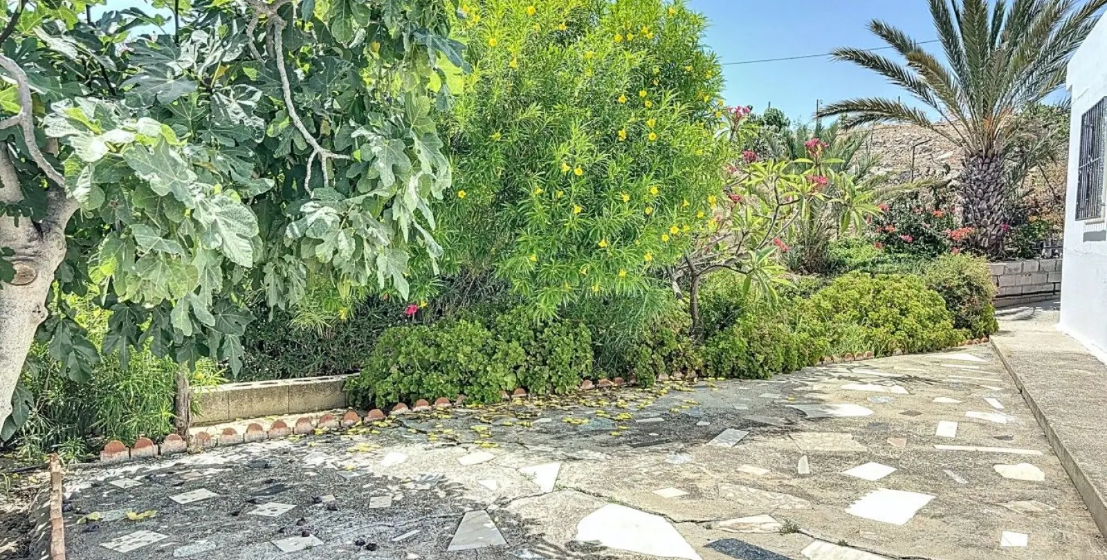 Venta de finca - cortijo en Torre del Mar 24