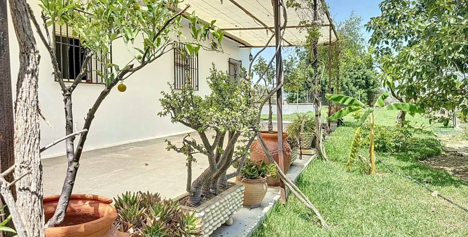 Venta de finca - cortijo en Torre del Mar 27