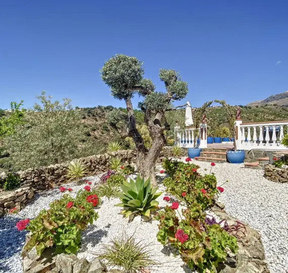 Sale of finca - cortijo in Sedella