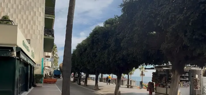 Sale of ground floor apartment in Marbella 3