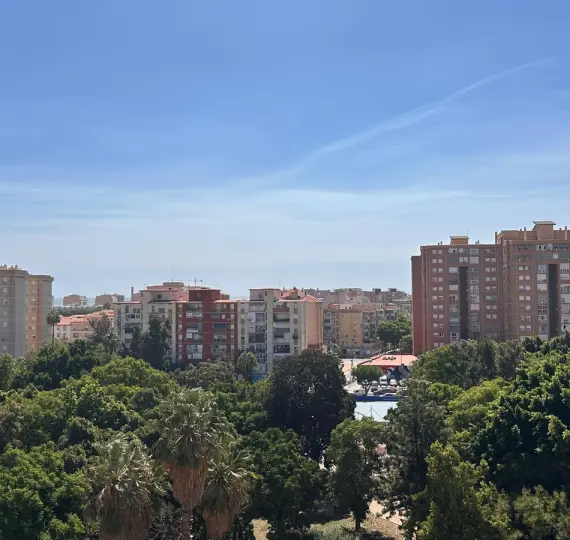Sale of middle floor apartment in El Torcal