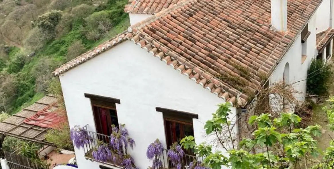 Sale of apartment complex in Benalauría 2