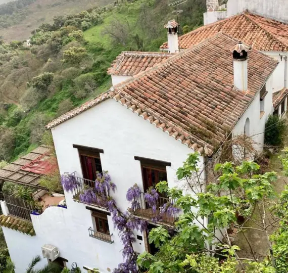 Apartment complex R5163940