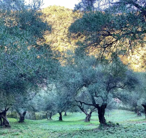 Apartment complex R5163940