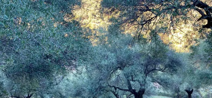 Apartment complex R5163940 4