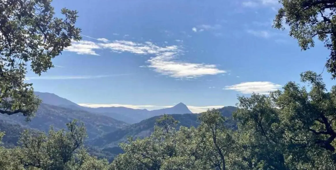 Sale of apartment complex in Benalauría 6