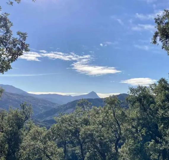 Apartment complex R5163940