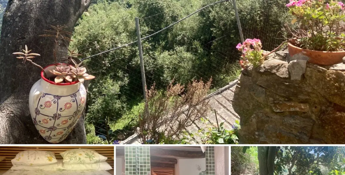 Продажа апартаментного комплекса в Benalauría 31