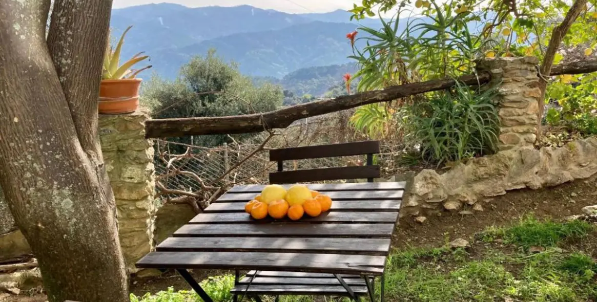 Продажа апартаментного комплекса в Benalauría 46