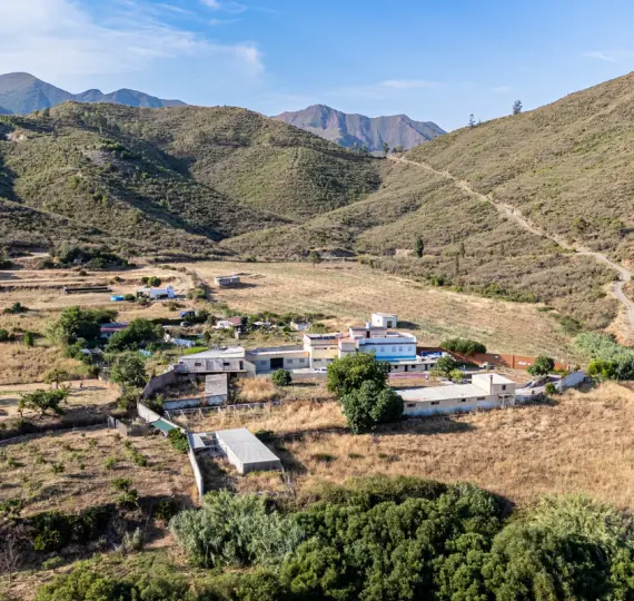 Sale of duplex in Marbella