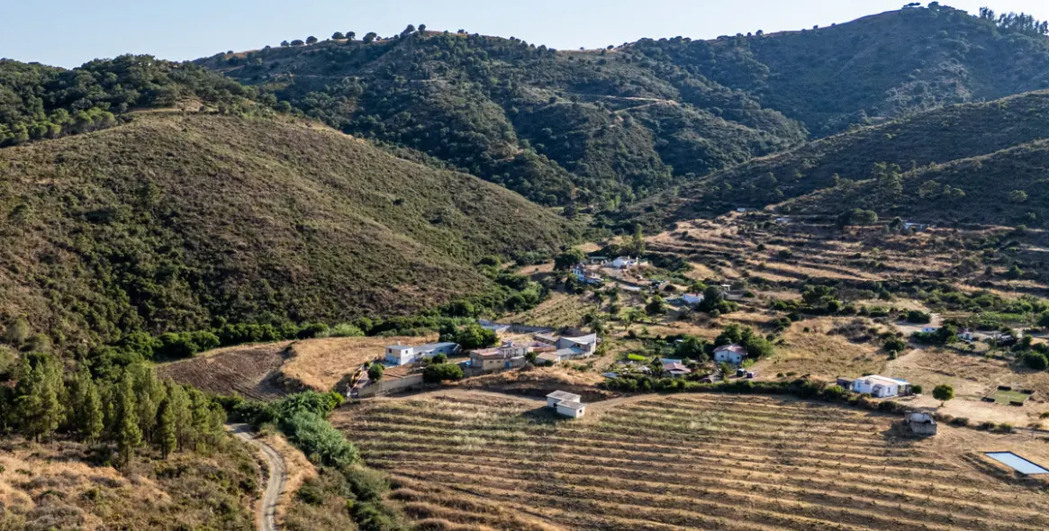 Sale of duplex in Marbella 5