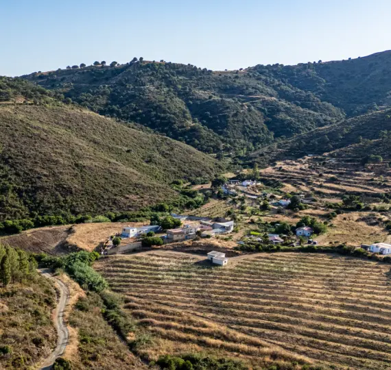 Sale of duplex in Marbella