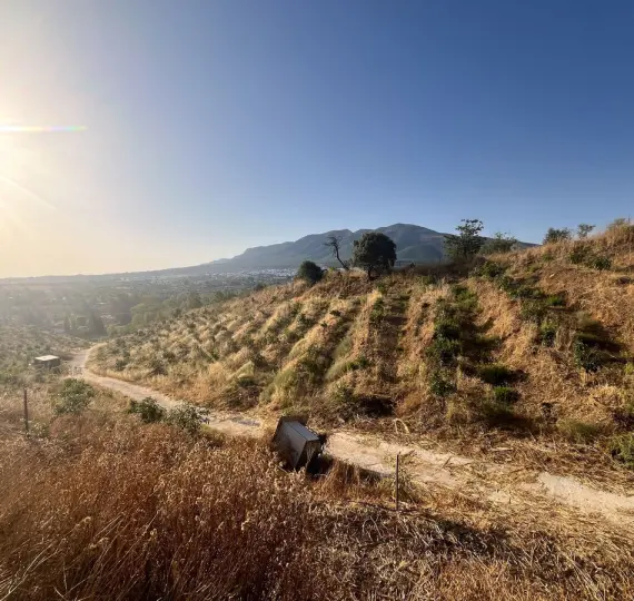 Venta de parcela residencial en Alhaurín el Grande