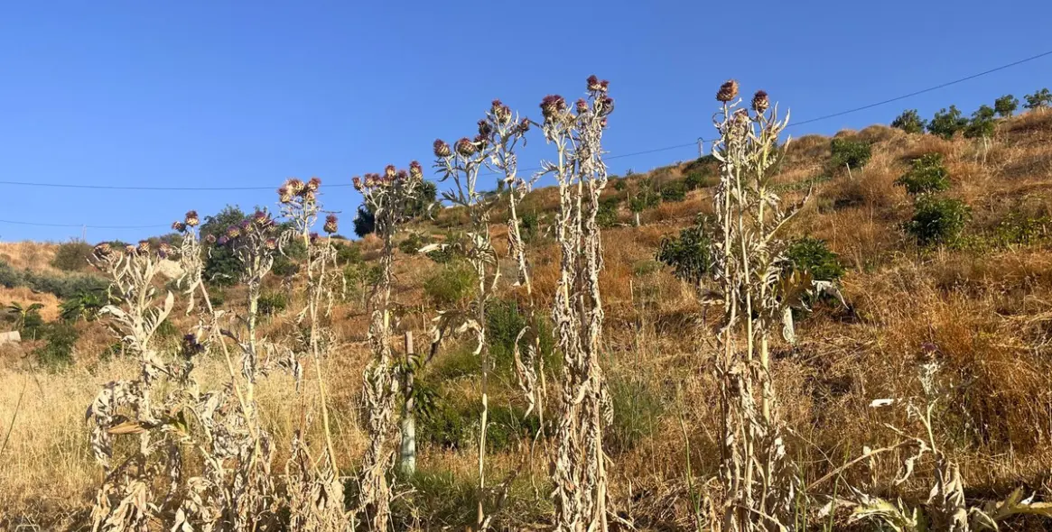 Продажа  жилого участка в Alhaurín el Grande 3