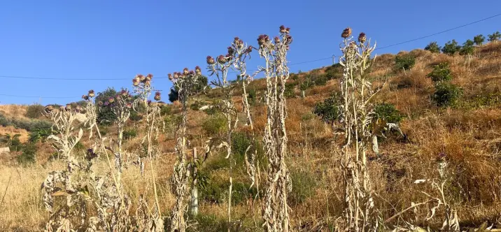 Venta de parcela residencial en Alhaurín el Grande 2