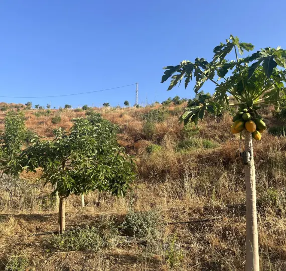 Venta de parcela residencial en Alhaurín el Grande