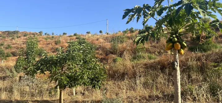 Venta de parcela residencial en Alhaurín el Grande 4