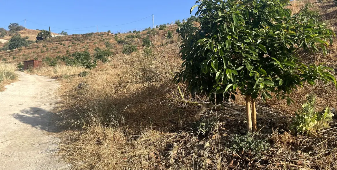 Продажа  жилого участка в Alhaurín el Grande 9