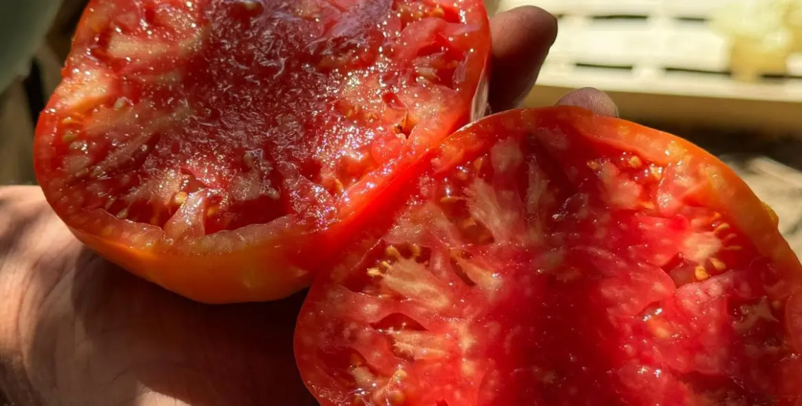 Продажа  жилого участка в Alhaurín el Grande 12