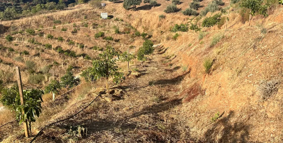 Продажа  жилого участка в Alhaurín el Grande 15