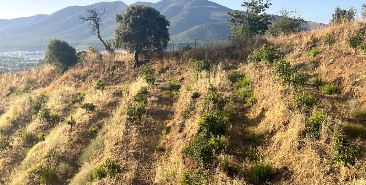 Продажа  жилого участка в Alhaurín el Grande 17