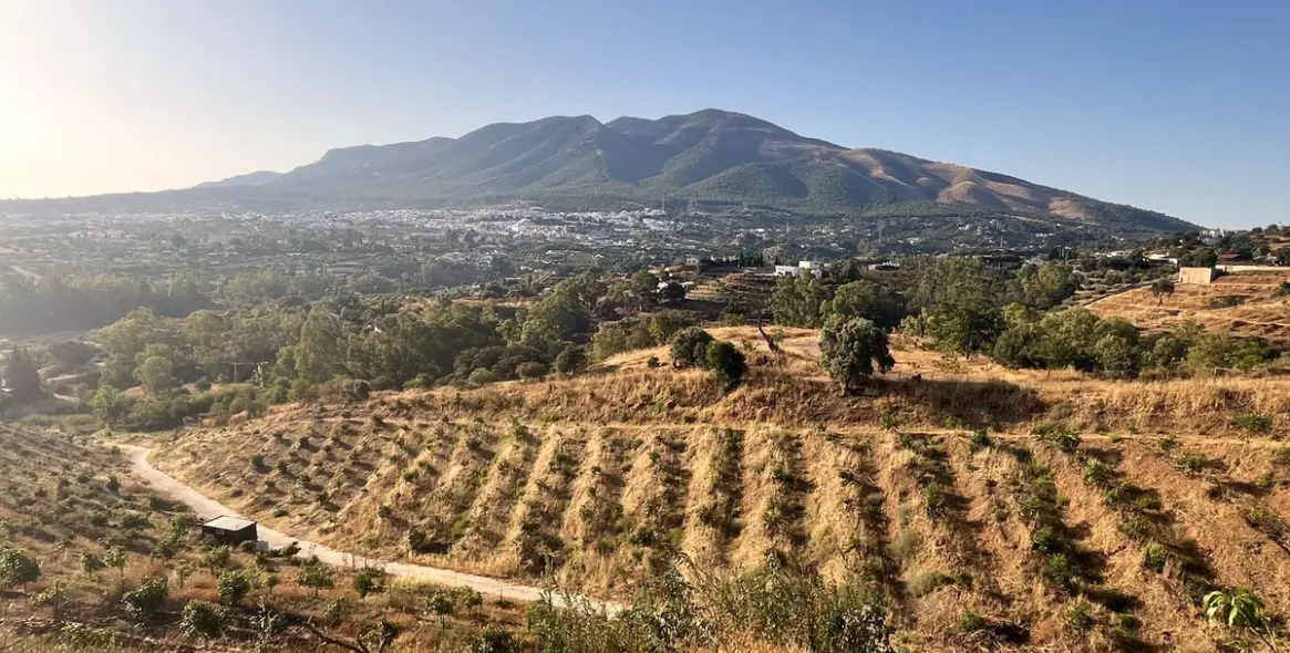 Продажа  жилого участка в Alhaurín el Grande 18